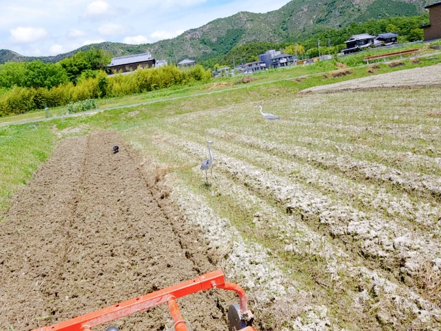 f:id:Pageoyaji:20210525071240j:image f:id:Pageoyaji:20210525071240j:image
