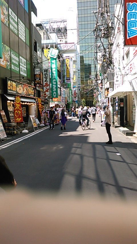 f:id:PanariLab:20200529170427j:plain