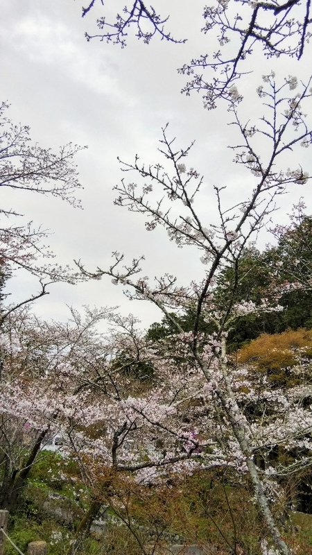 イメージ 6