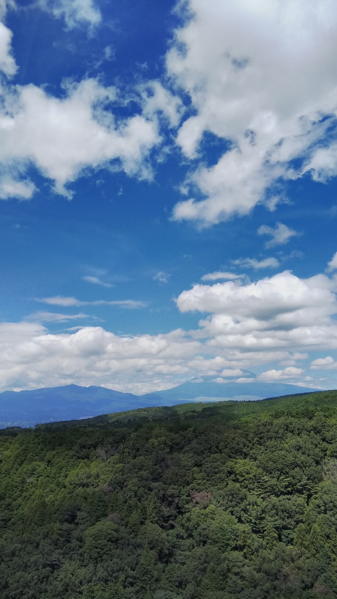 f:id:Pandaneko:20190908195613j:plain f:id:Pandaneko:20190908195613j:plain
