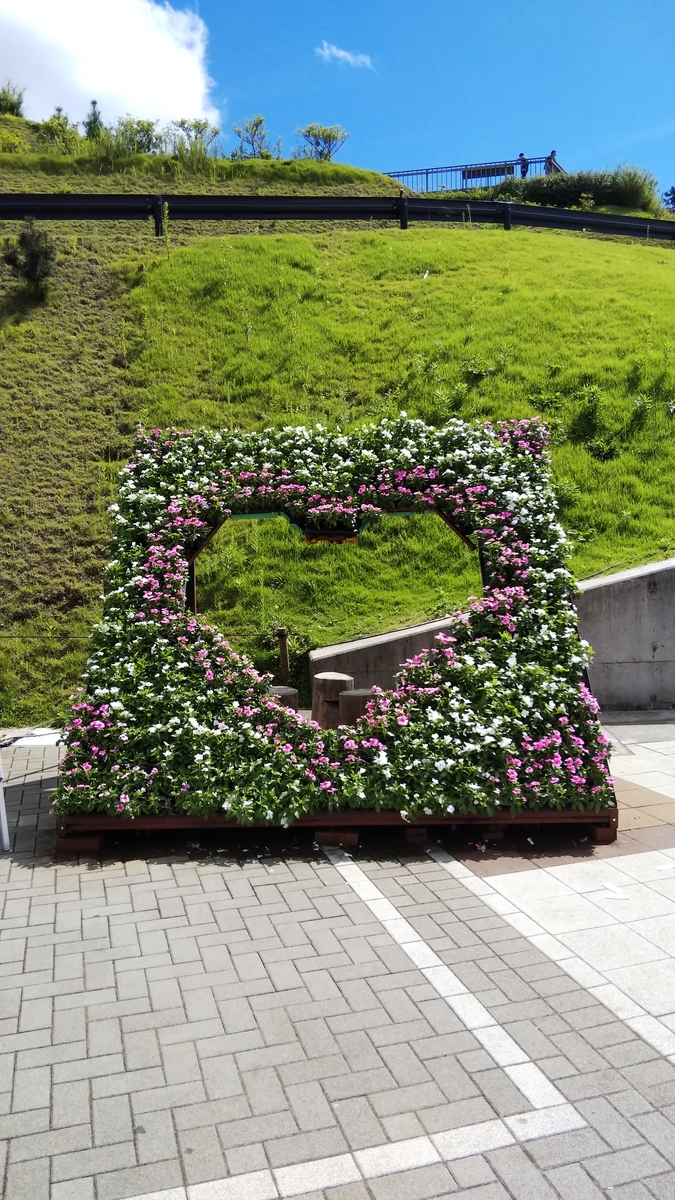 f:id:Pandaneko:20190908195748j:plain f:id:Pandaneko:20190908195748j:plain