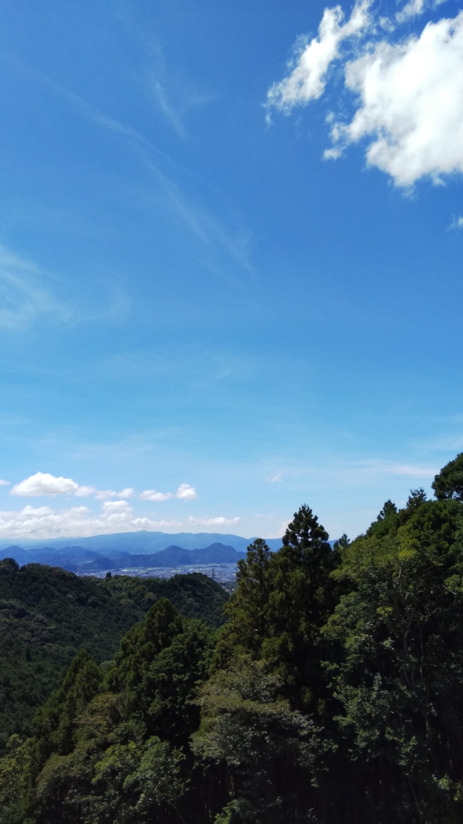 f:id:Pandaneko:20190908200054j:plain f:id:Pandaneko:20190908200054j:plain