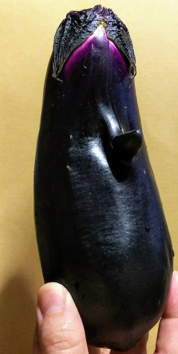 f:id:Pandaneko:20200818170652j:plain f:id:Pandaneko:20200818170652j:plain