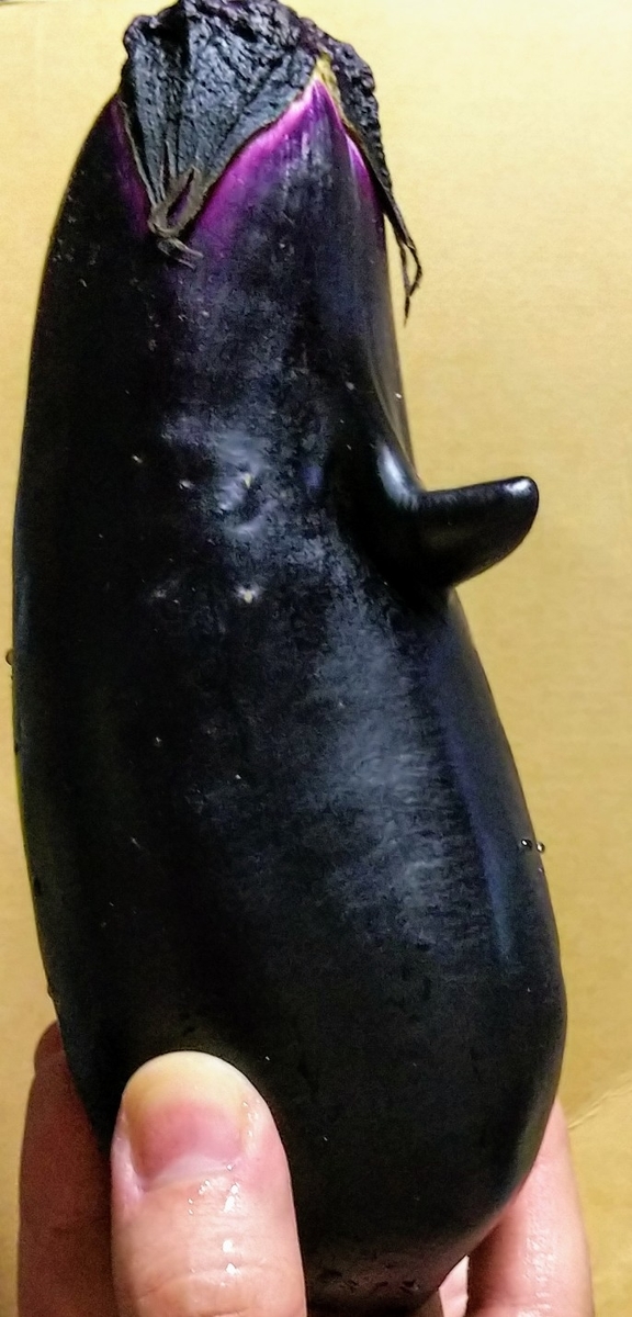 f:id:Pandaneko:20200818170724j:plain f:id:Pandaneko:20200818170724j:plain