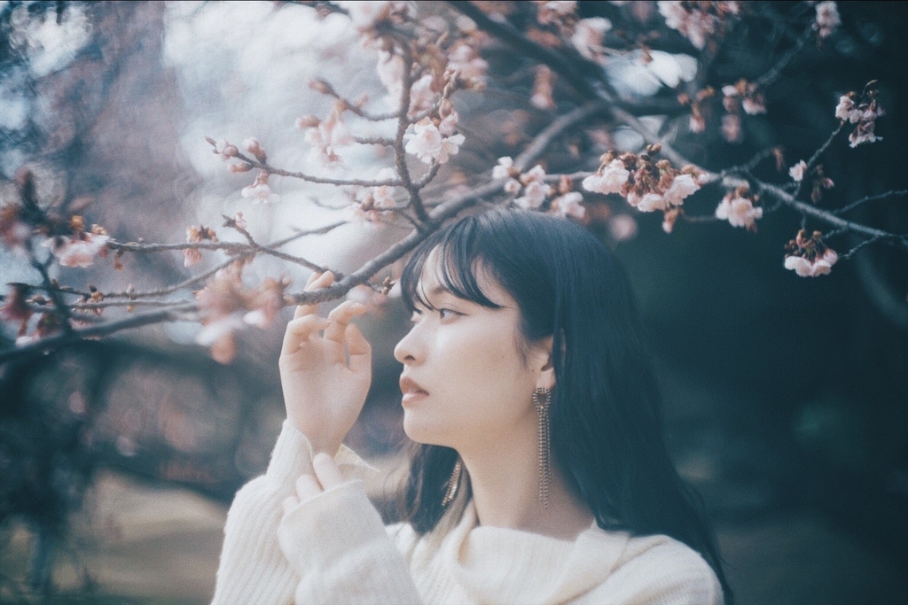 f:id:Pannakotta1282:20190308122609j:plain