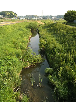 f:id:Papa54:20110522181355j:image