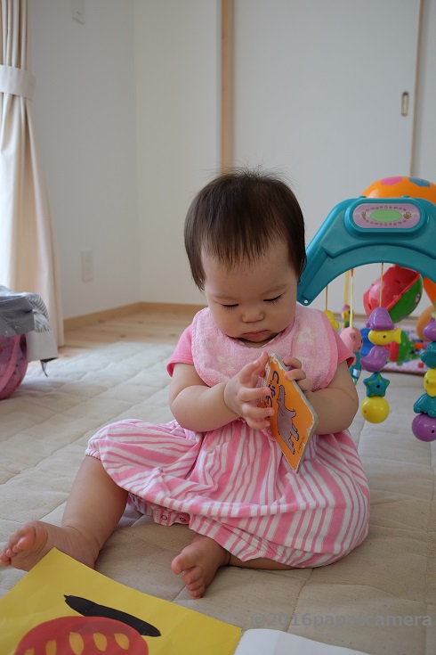 f:id:PapasCamera:20160704055137j:plain