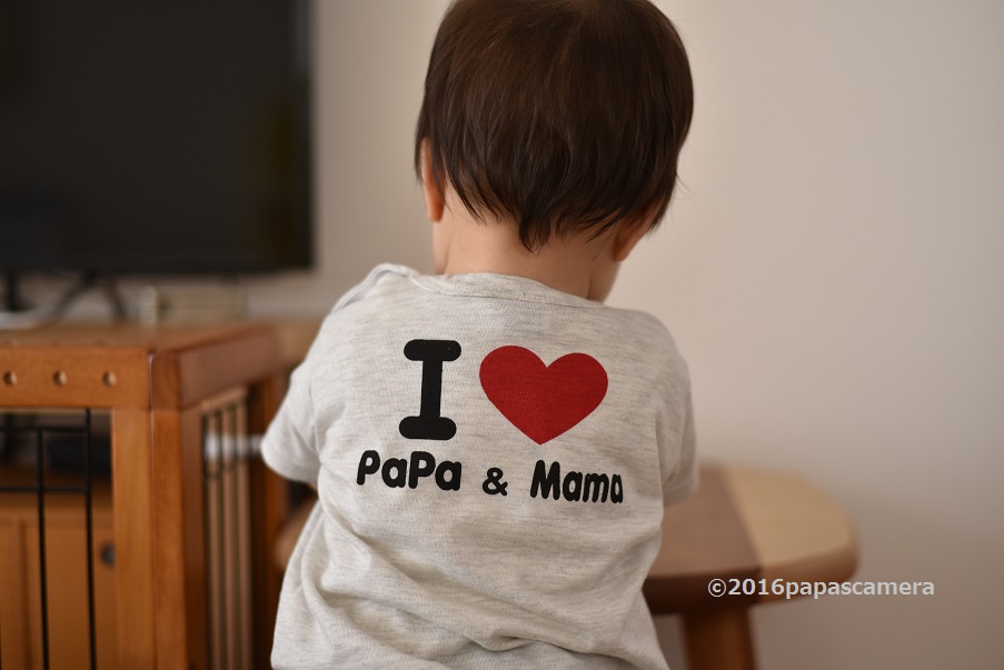 f:id:PapasCamera:20160705064859j:plain