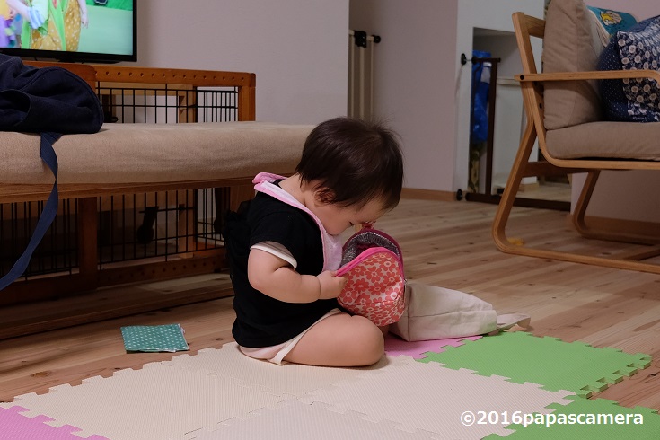 f:id:PapasCamera:20160713124109j:plain