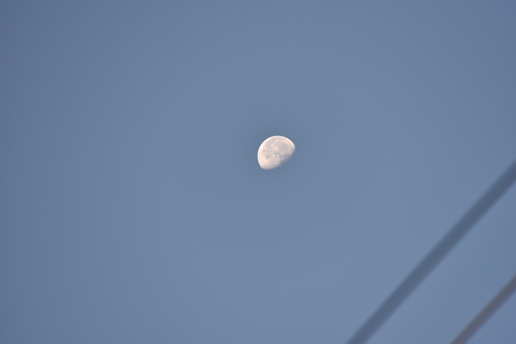 f:id:PapasCamera:20160824124659j:plain