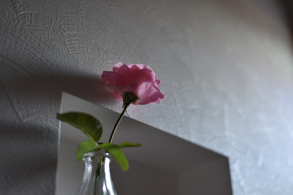 f:id:PapasCamera:20161014120459j:plain