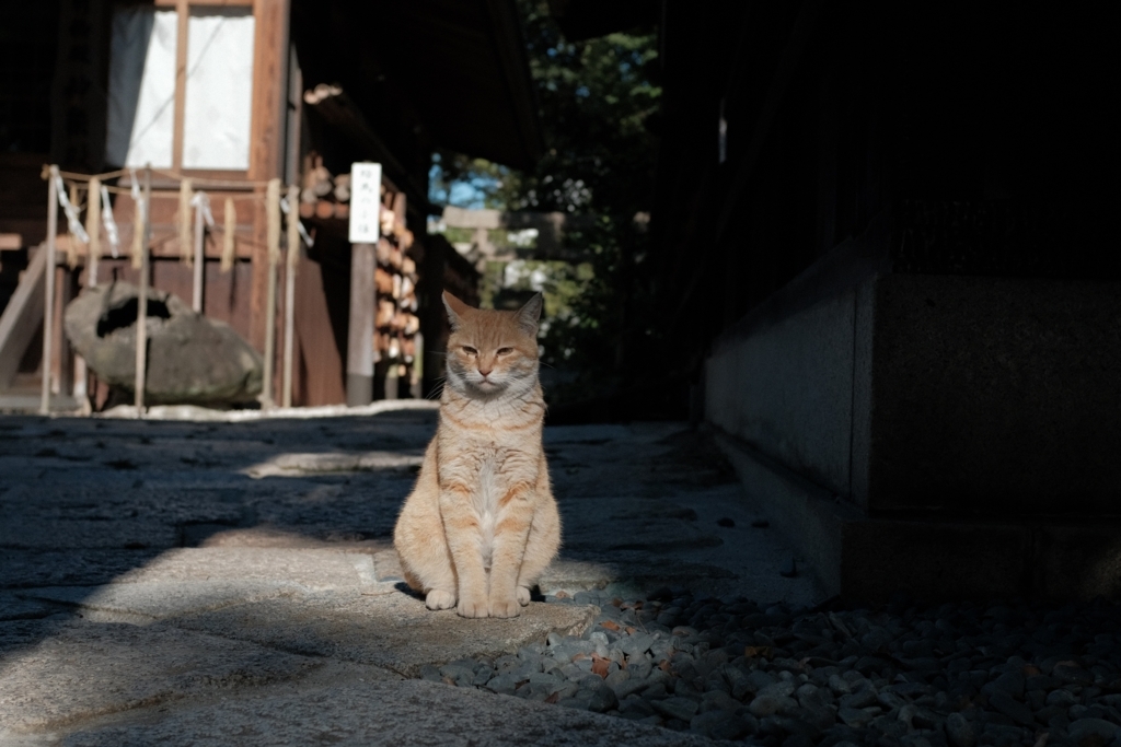 f:id:PapasCamera:20170822084828j:plain