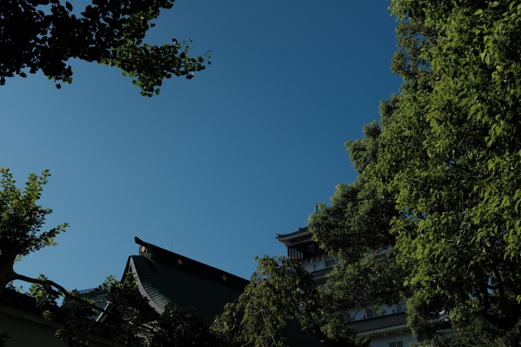 f:id:PapasCamera:20170822084901j:plain