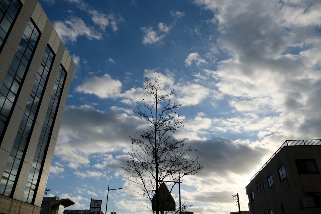 f:id:PapasCamera:20171201084844j:plain