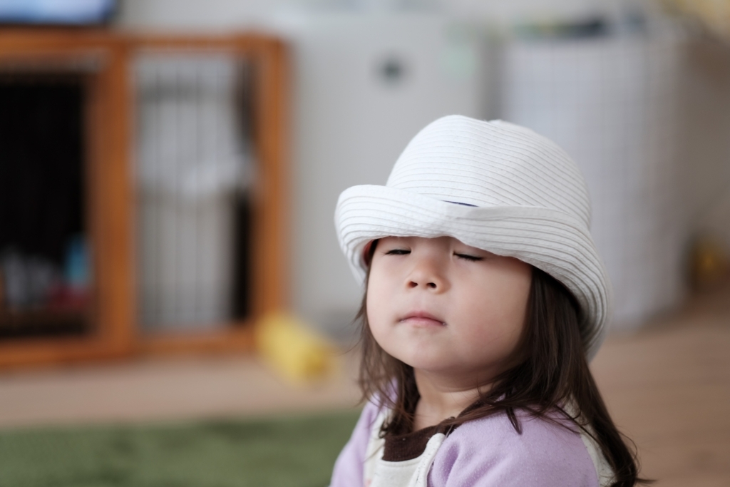 f:id:PapasCamera:20180301124254j:plain