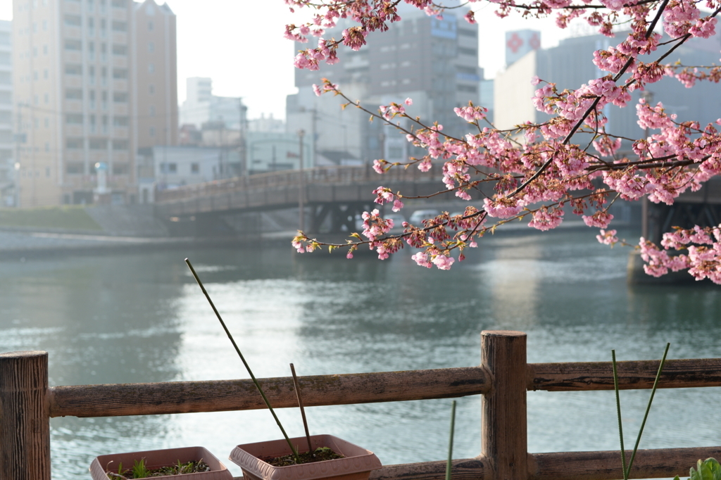 f:id:PapasCamera:20180314125710j:plain f:id:PapasCamera:20180314125710j:plain