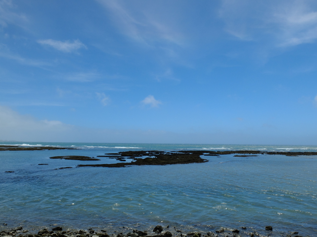f:id:PapasCamera:20180620124137j:plain