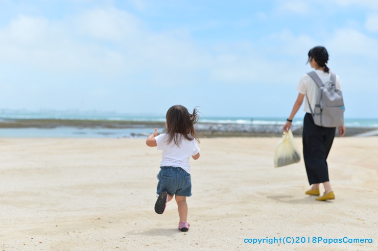 f:id:PapasCamera:20180621125939j:plain