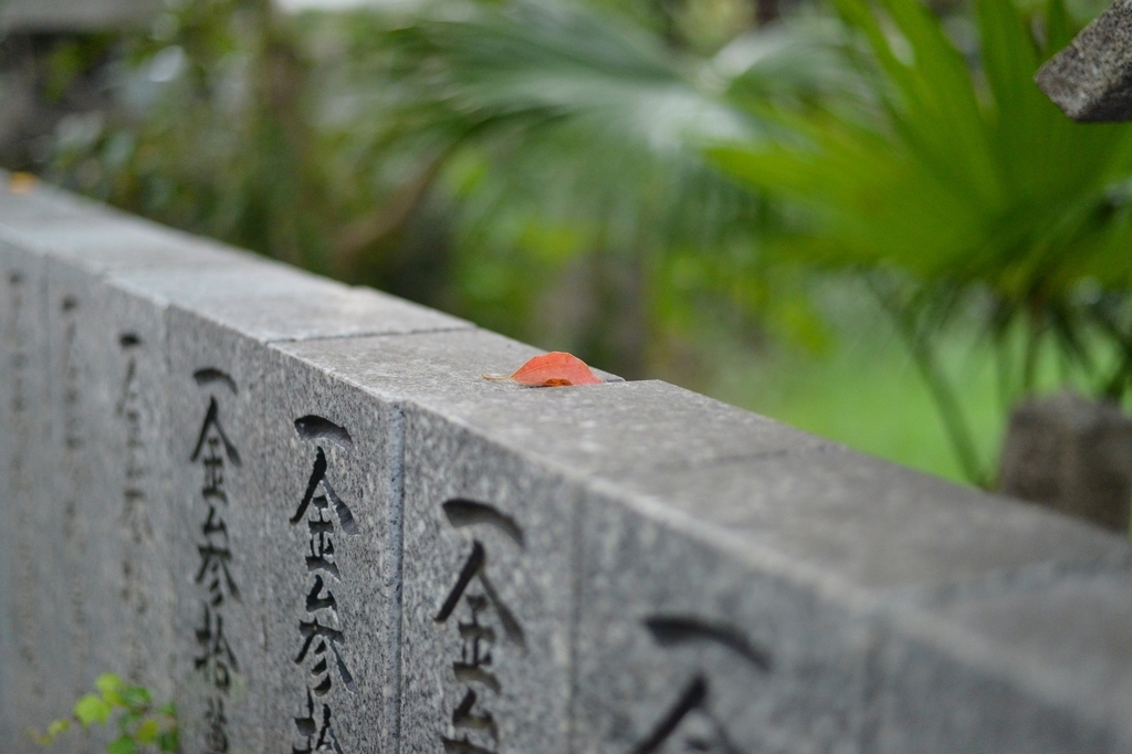 f:id:PapasCamera:20180921120539j:plain