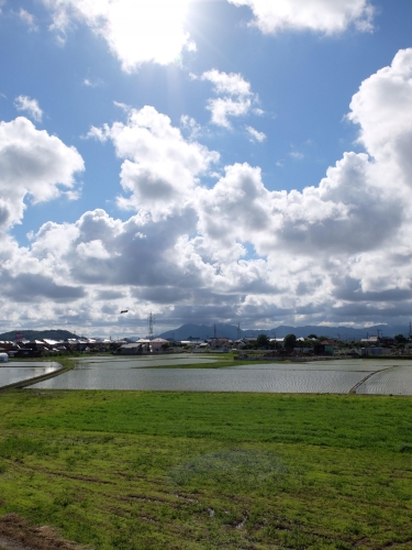 晴れ（2015年6月6日）