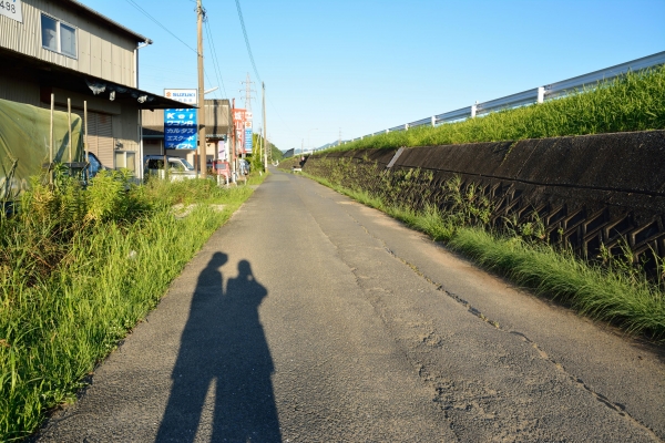 散歩（2015年7月26日）