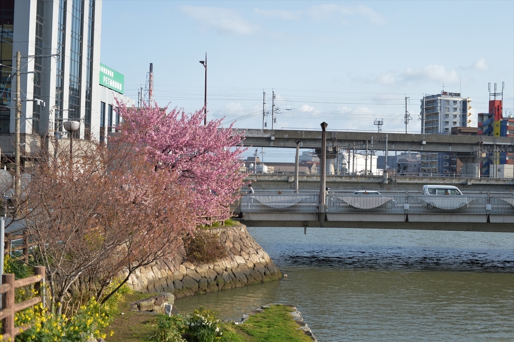 f:id:PapasCamera:20190312125826j:plain