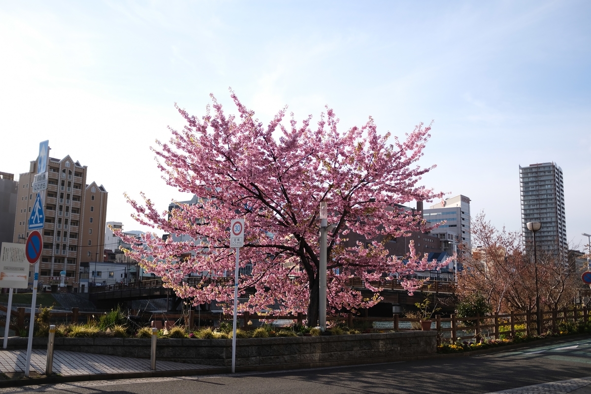f:id:PapasCamera:20190320193227j:plain