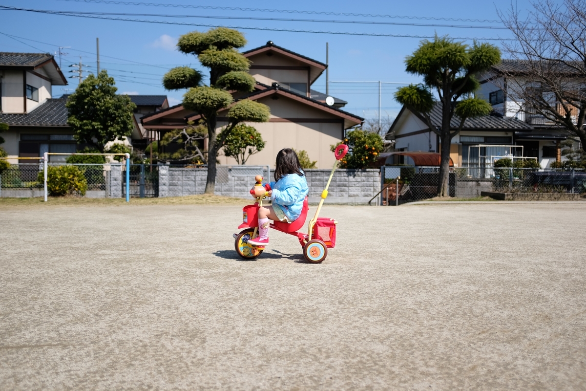 f:id:PapasCamera:20190321111105j:plain