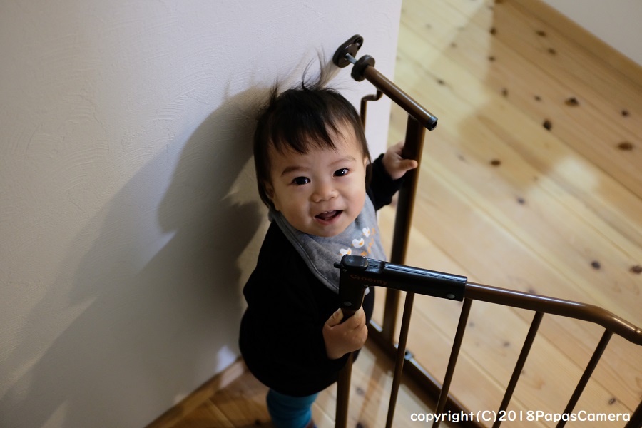 f:id:PapasCamera:20190322125221j:plain