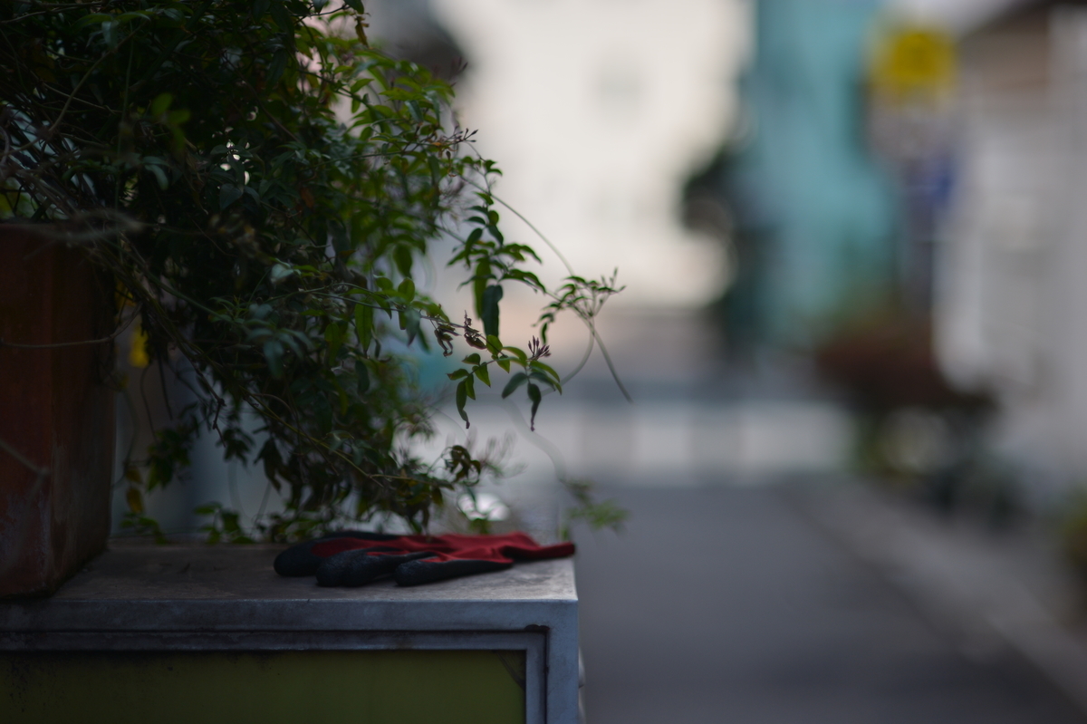 f:id:PapasCamera:20190520183914j:plain