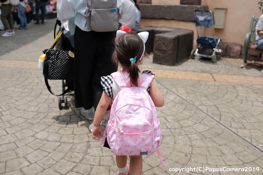 f:id:PapasCamera:20190603125739j:plain