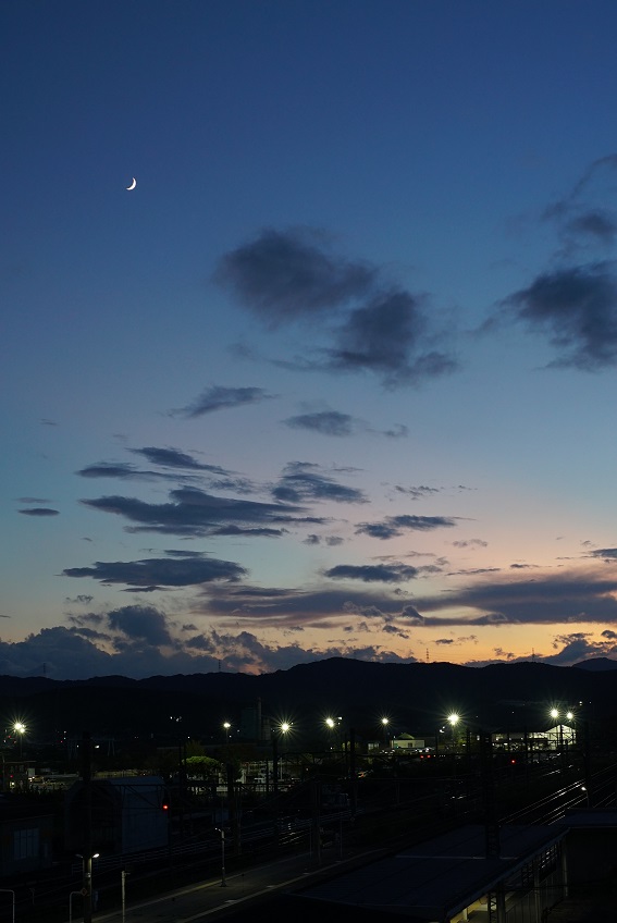 f:id:PapasCamera:20191024124936j:plain