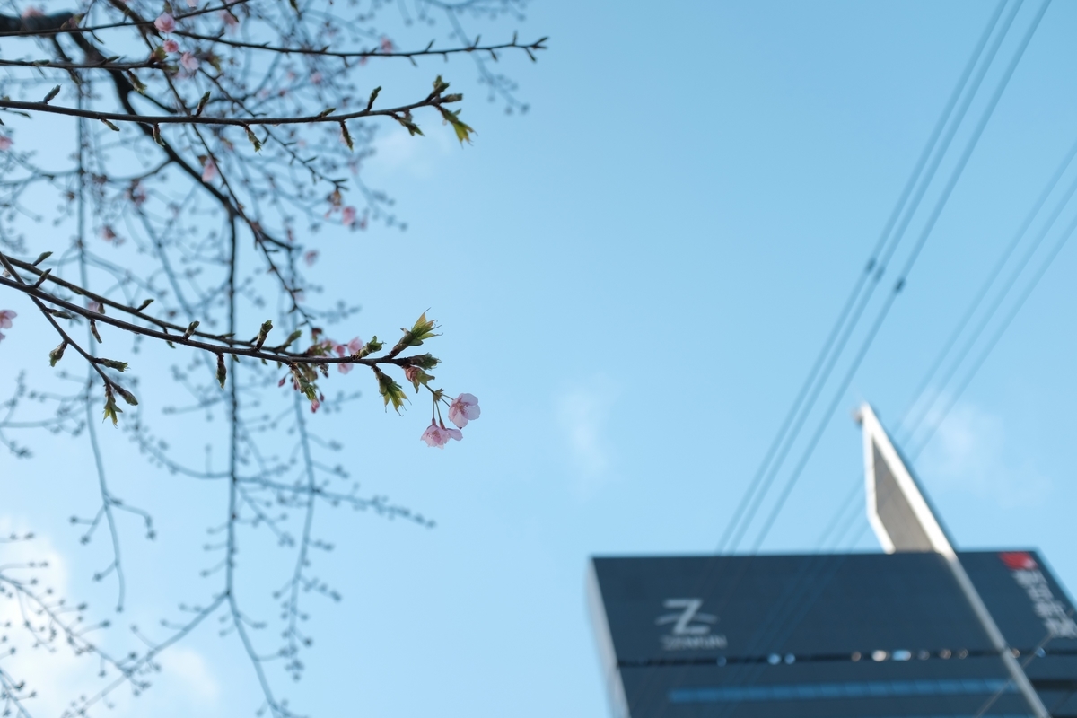 f:id:PapasCamera:20200213124852j:plain