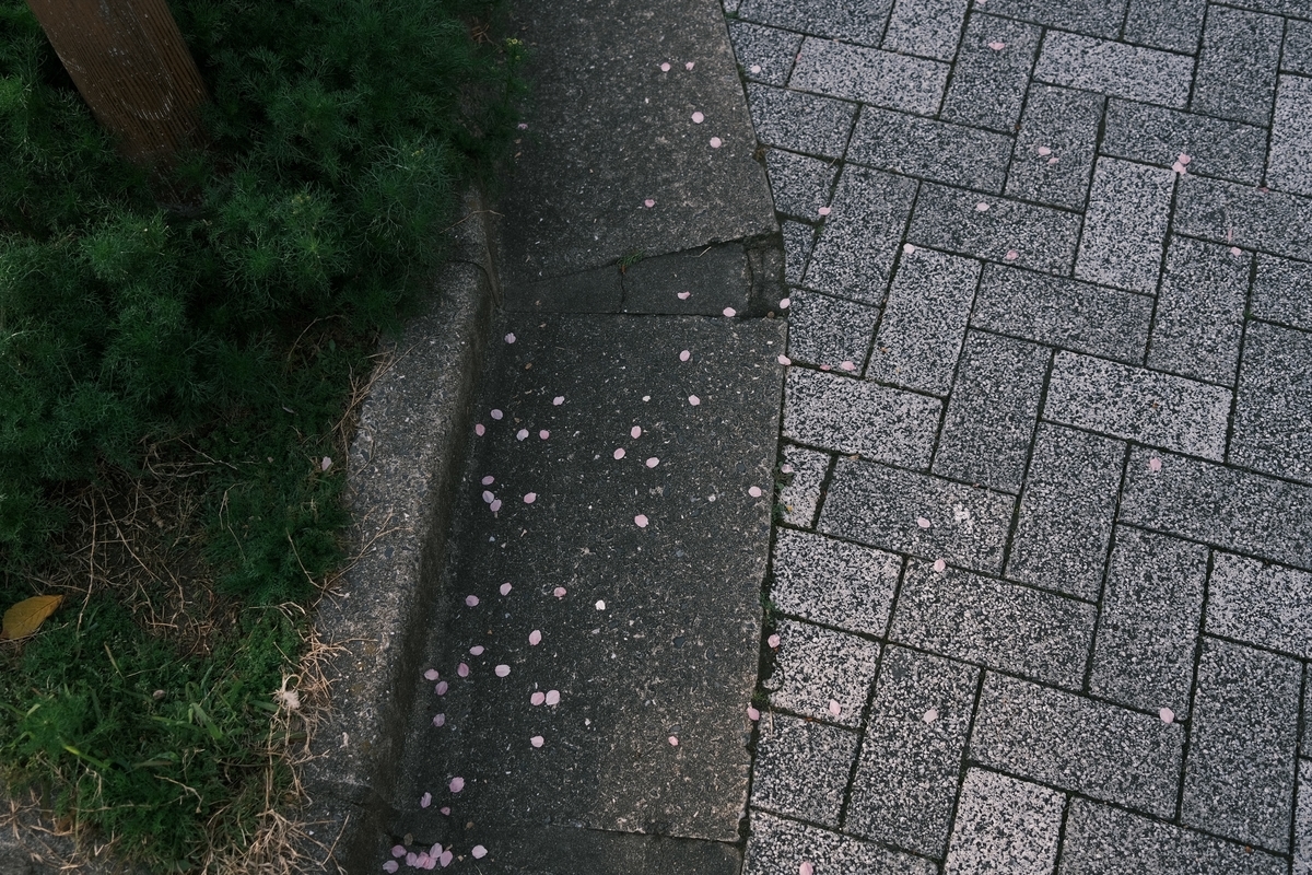 f:id:PapasCamera:20200309081720j:plain