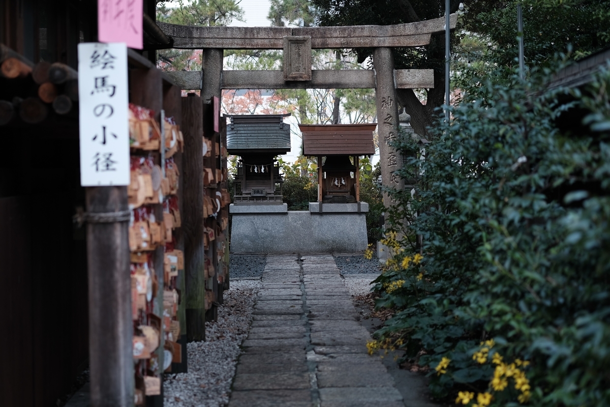 f:id:PapasCamera:20201118120743j:plain