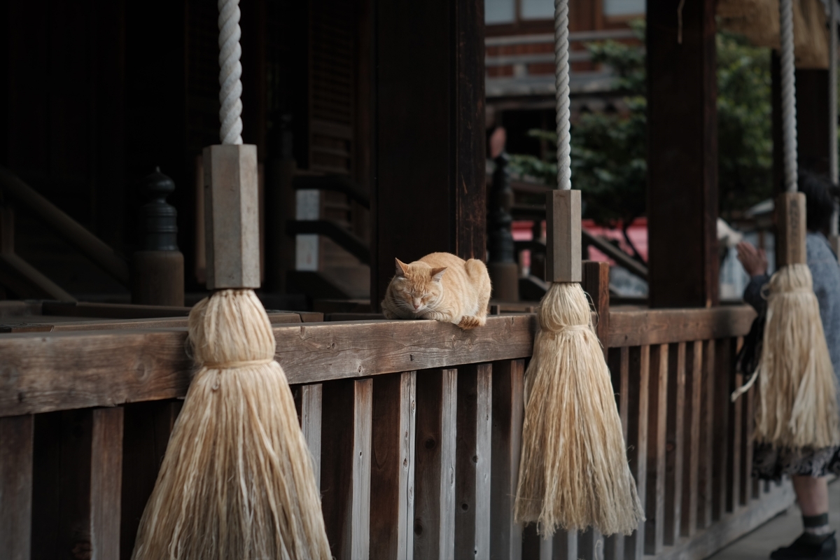 f:id:PapasCamera:20210423130250j:plain