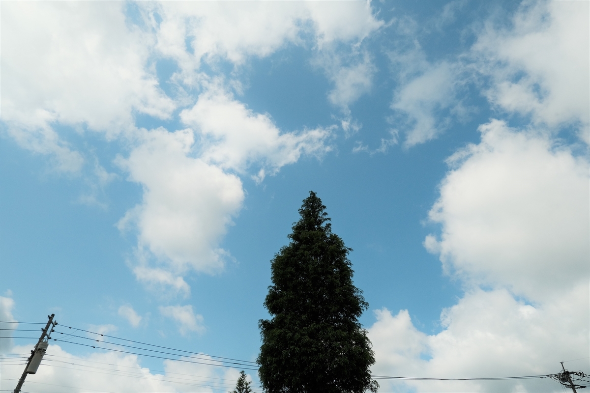 f:id:PapasCamera:20210712124527j:plain