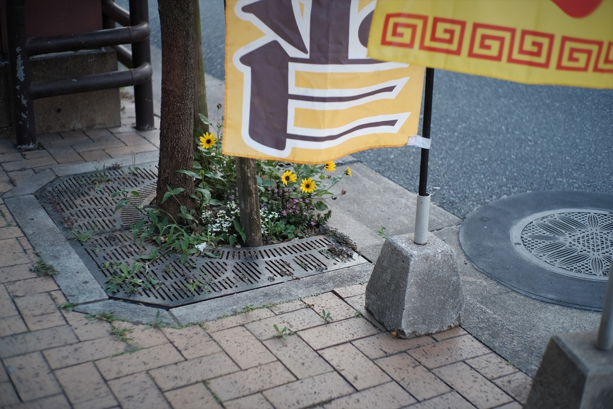 f:id:PapasCamera:20210721130509j:plain