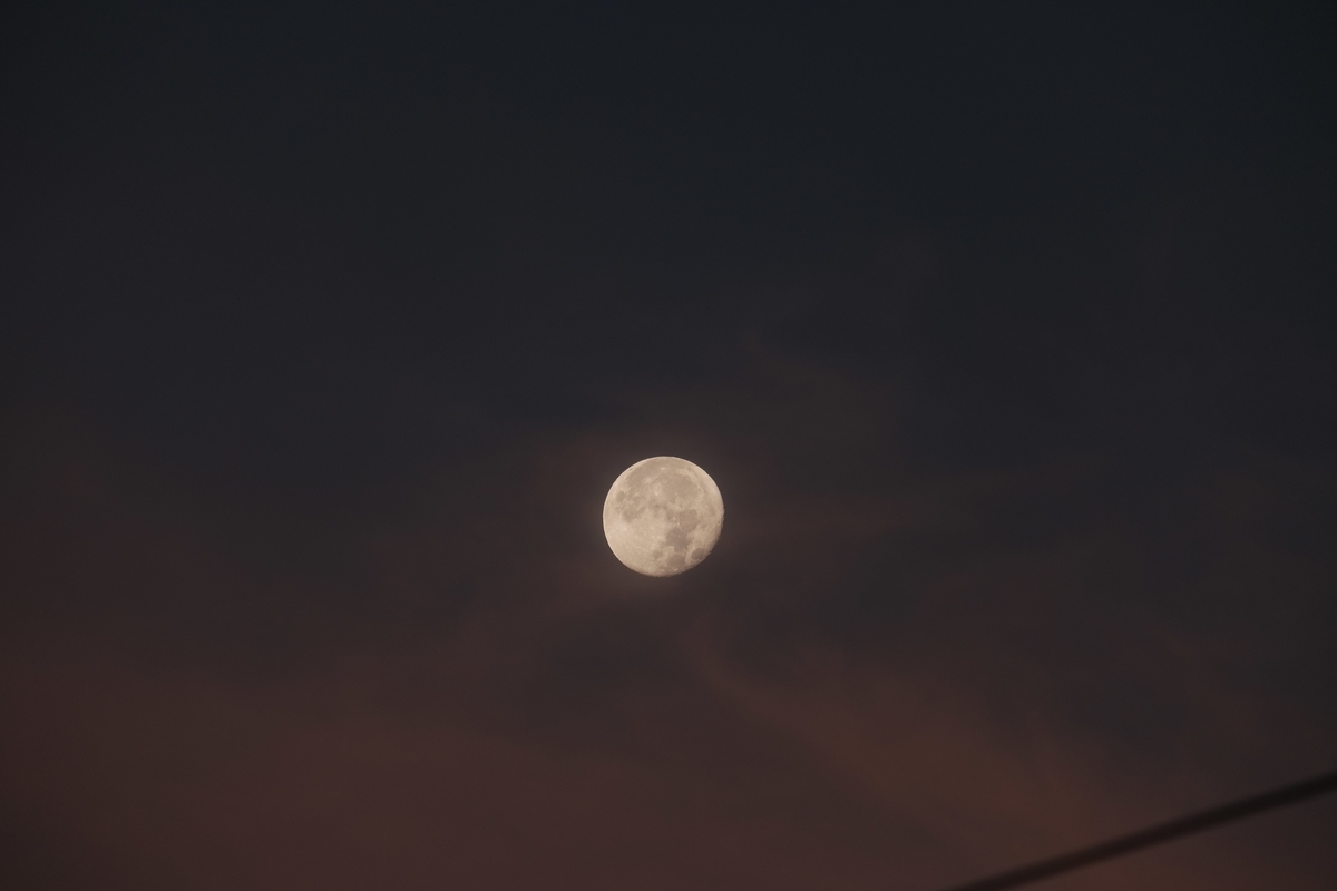 f:id:PapasCamera:20210727124946j:plain