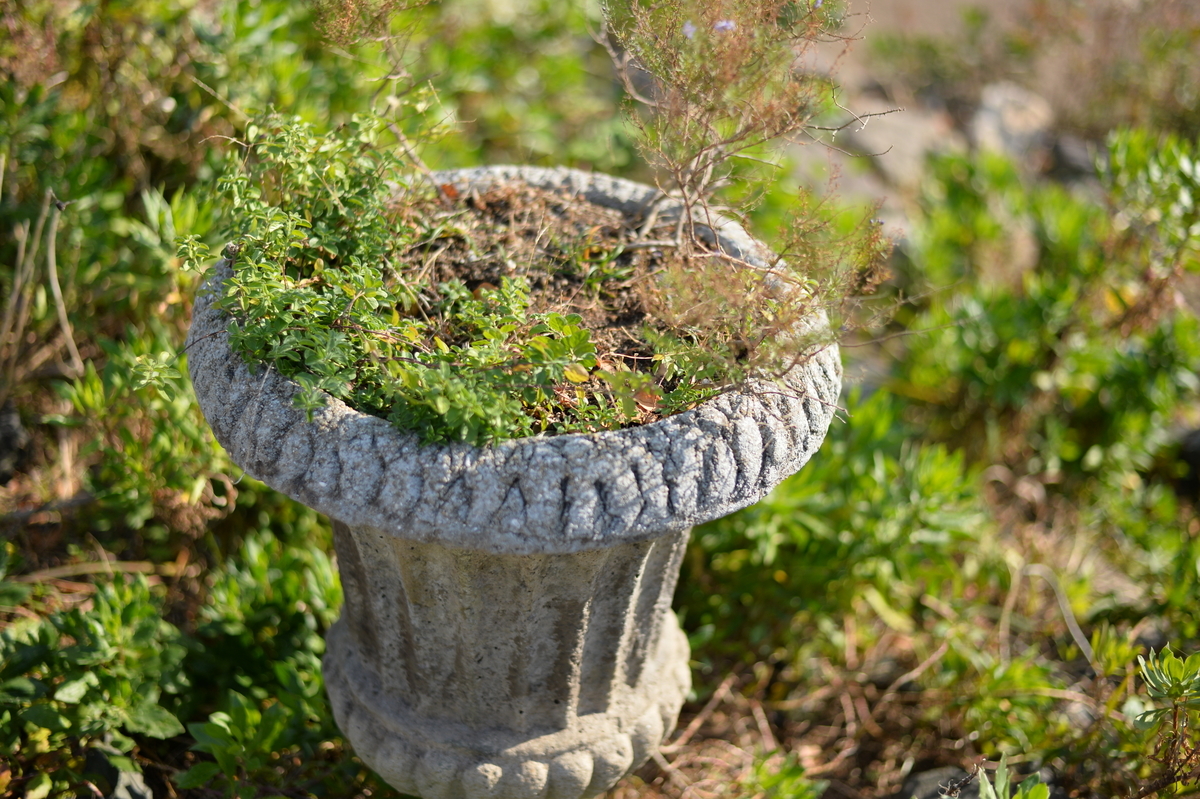 f:id:PapasCamera:20211209125546j:plain