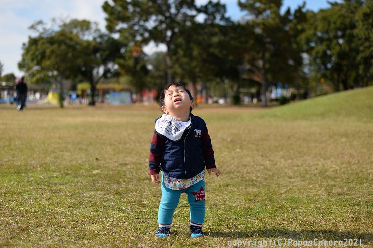 f:id:PapasCamera:20211209125906j:plain