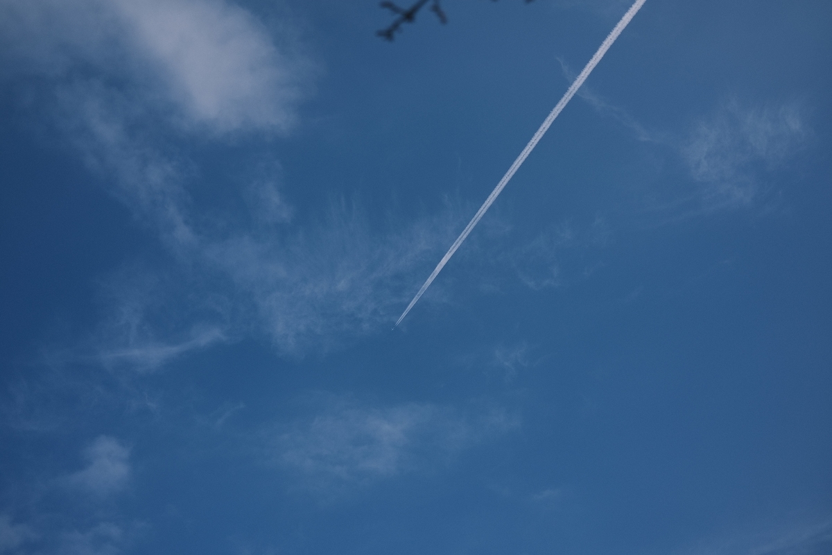 f:id:PapasCamera:20220111125800j:plain