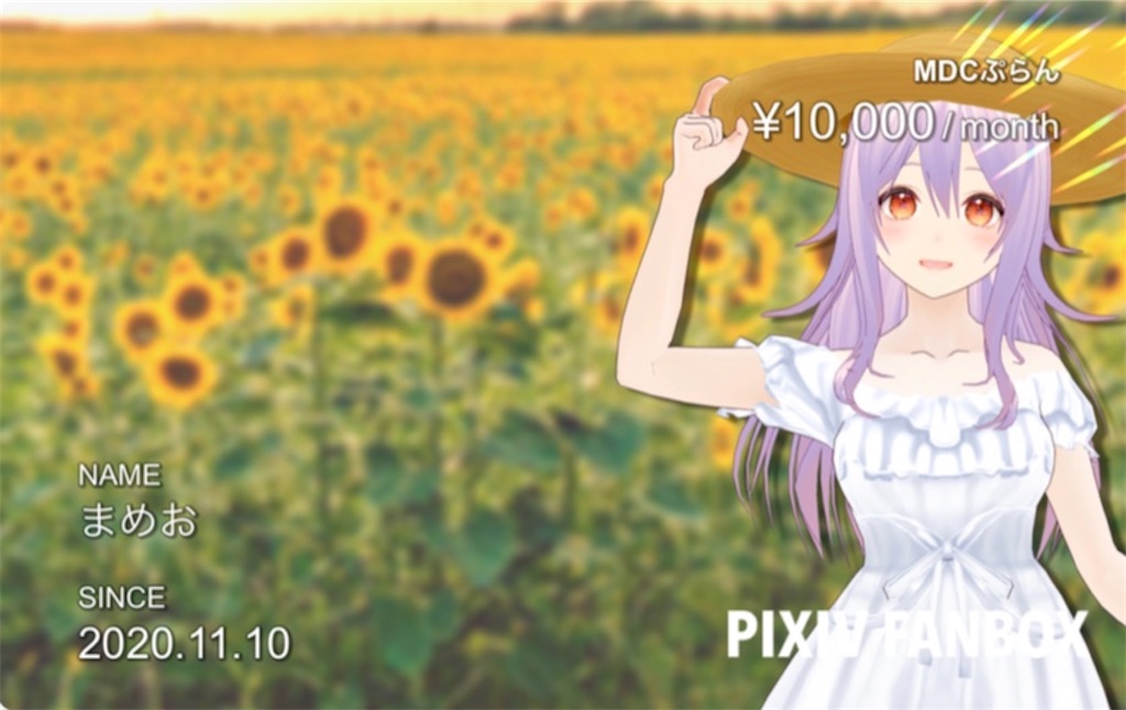 f:id:PaperSloth:20201208181912j:plain