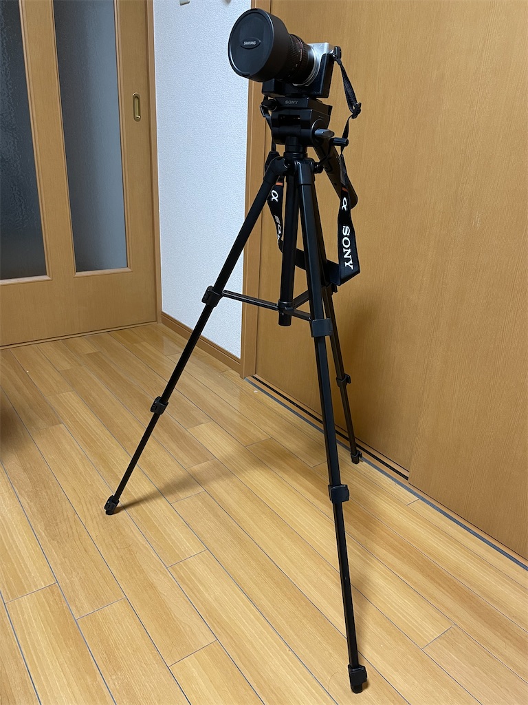 f:id:PaperSloth:20201208221718j:plain