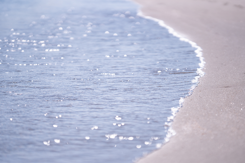 f:id:Paradisia:20190310064437j:plain