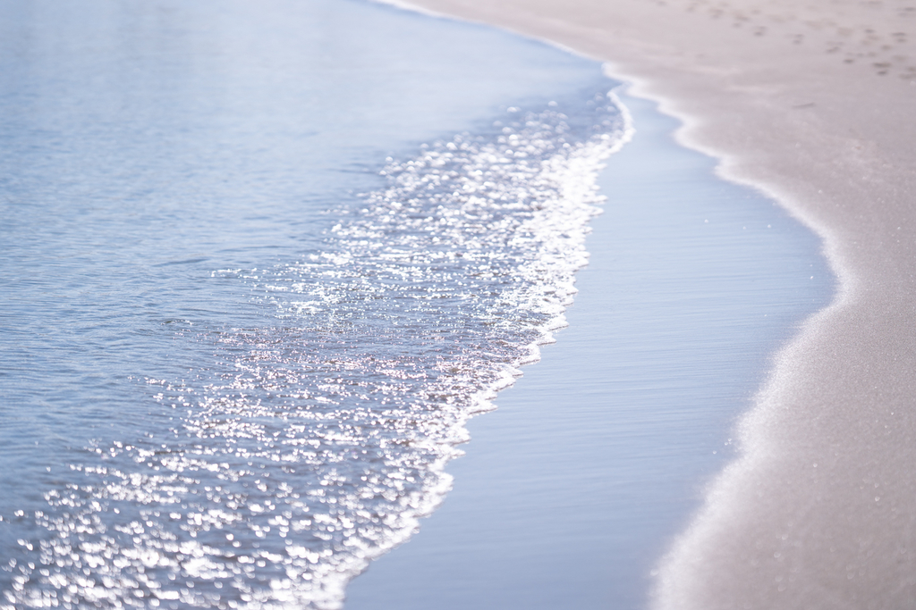 f:id:Paradisia:20190310070559j:plain f:id:Paradisia:20190310070559j:plain