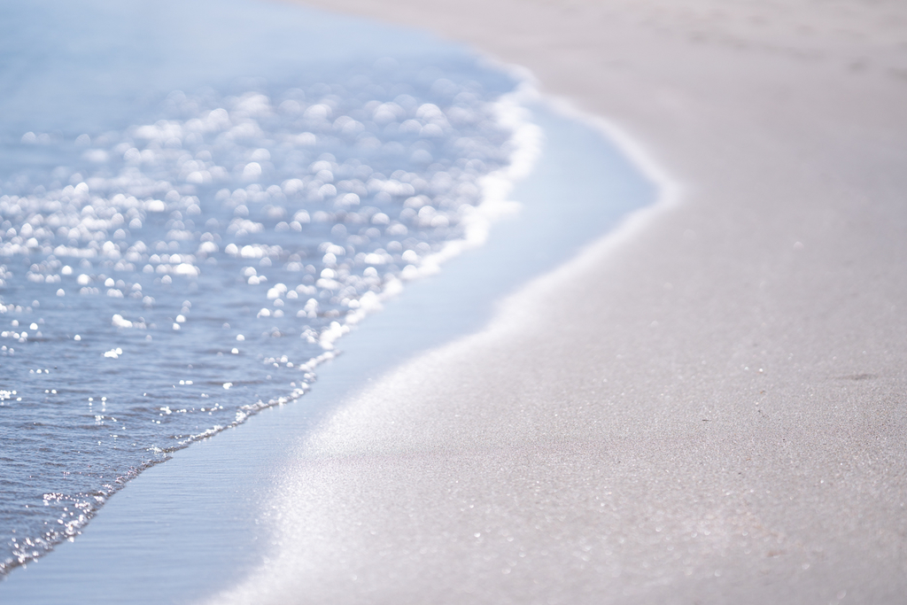 f:id:Paradisia:20190310070616j:plain f:id:Paradisia:20190310070616j:plain