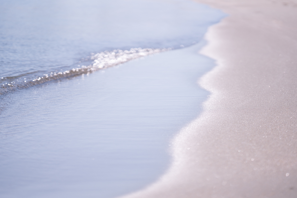 f:id:Paradisia:20190310070633j:plain f:id:Paradisia:20190310070633j:plain