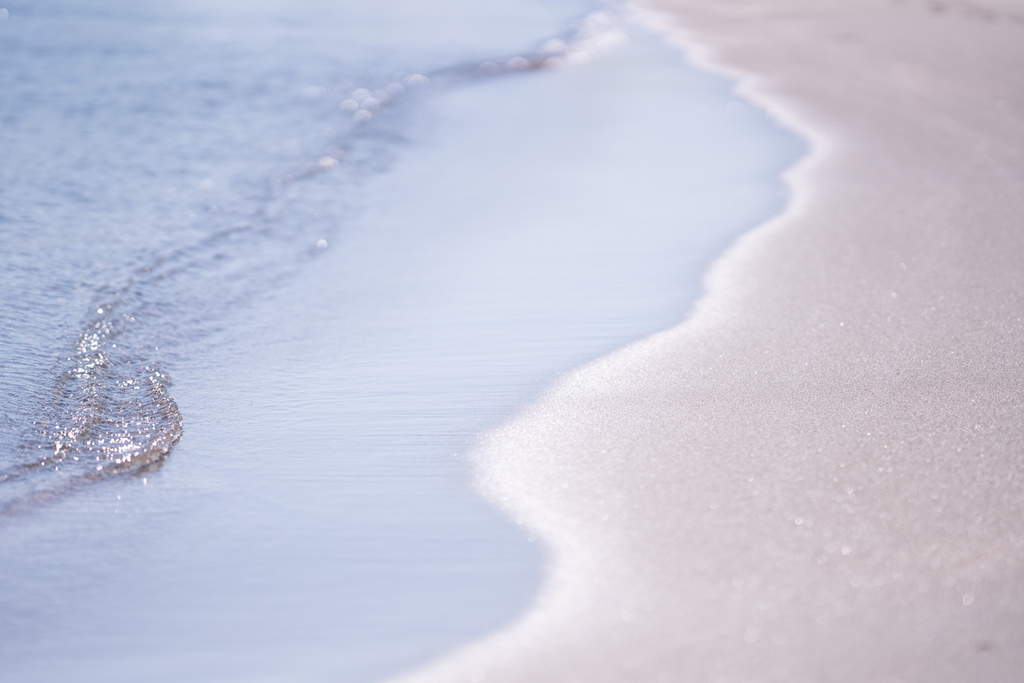 f:id:Paradisia:20190310070645j:plain f:id:Paradisia:20190310070645j:plain