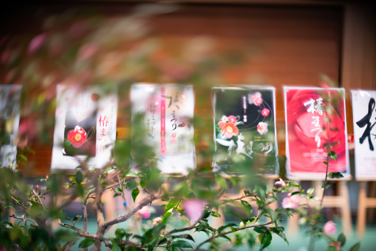 f:id:Paradisia:20190323172121j:plain